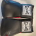 Deportes Casanova Professional 16 Ounce Leather Hybrid Boxing Gloves