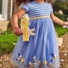 NWT Jojo MAMAN Cornflower & White Bird Tulle A-Line Dress 18-24