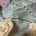 LIZ LISA Camisole