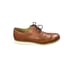 Men's Cole Haan ØriginalGrand Remastered Wingtip Oxfords Size 13