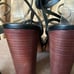 NIB women Sz 10M black high heel strap ankle wrapped glam sandals