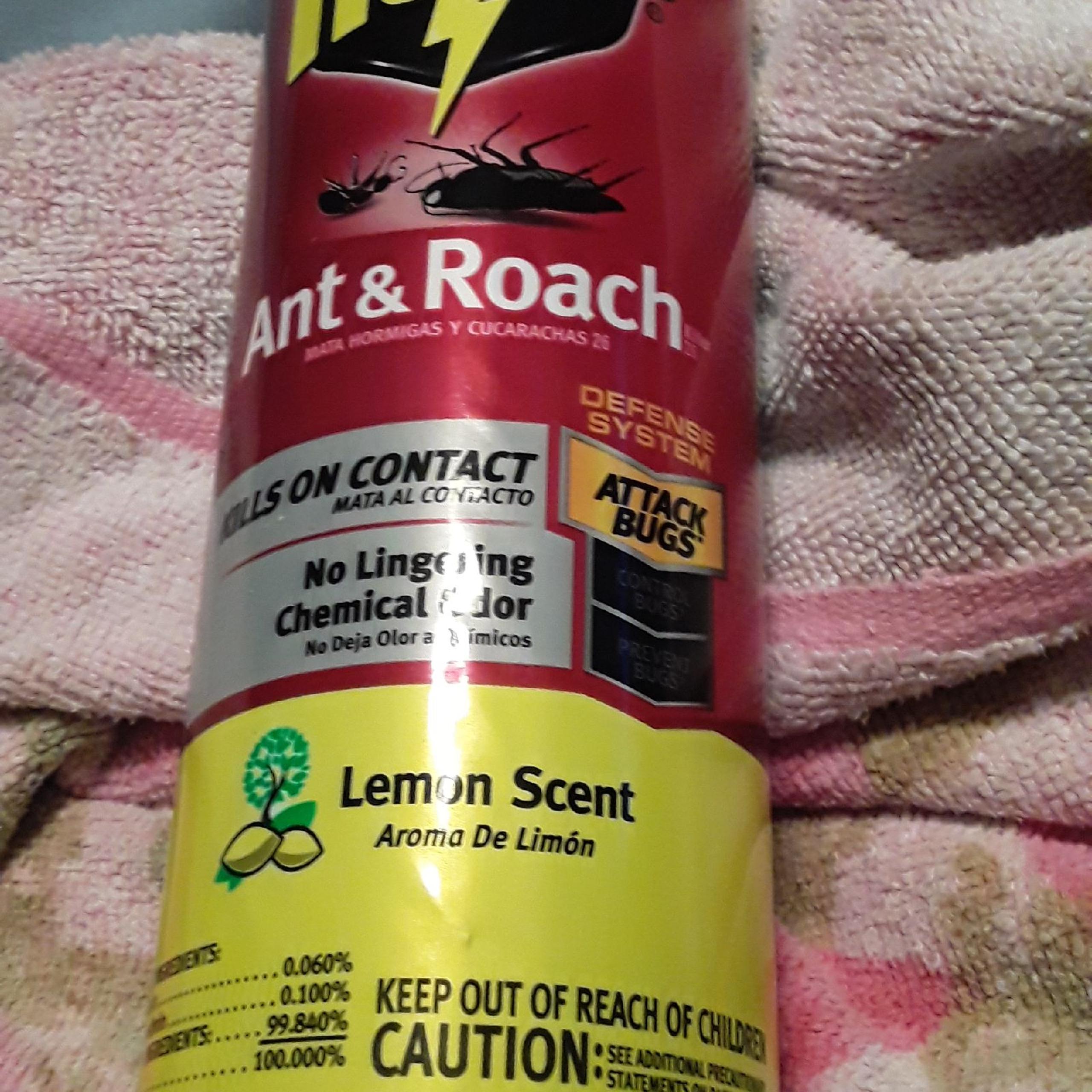 Raid roach spray