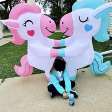 6.2 FT Height Valentine Inflatables Outdoor Blue & Pink Unicorns
