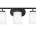 Sea Gull Lighting 41162-112 Oslo Three - Light Wall / Bath Vanity Style Fixture,