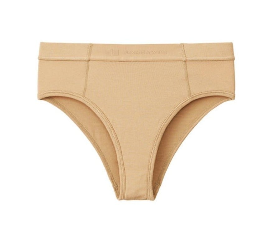 Uniqlo x Alexander Wang Heattech Panty, S