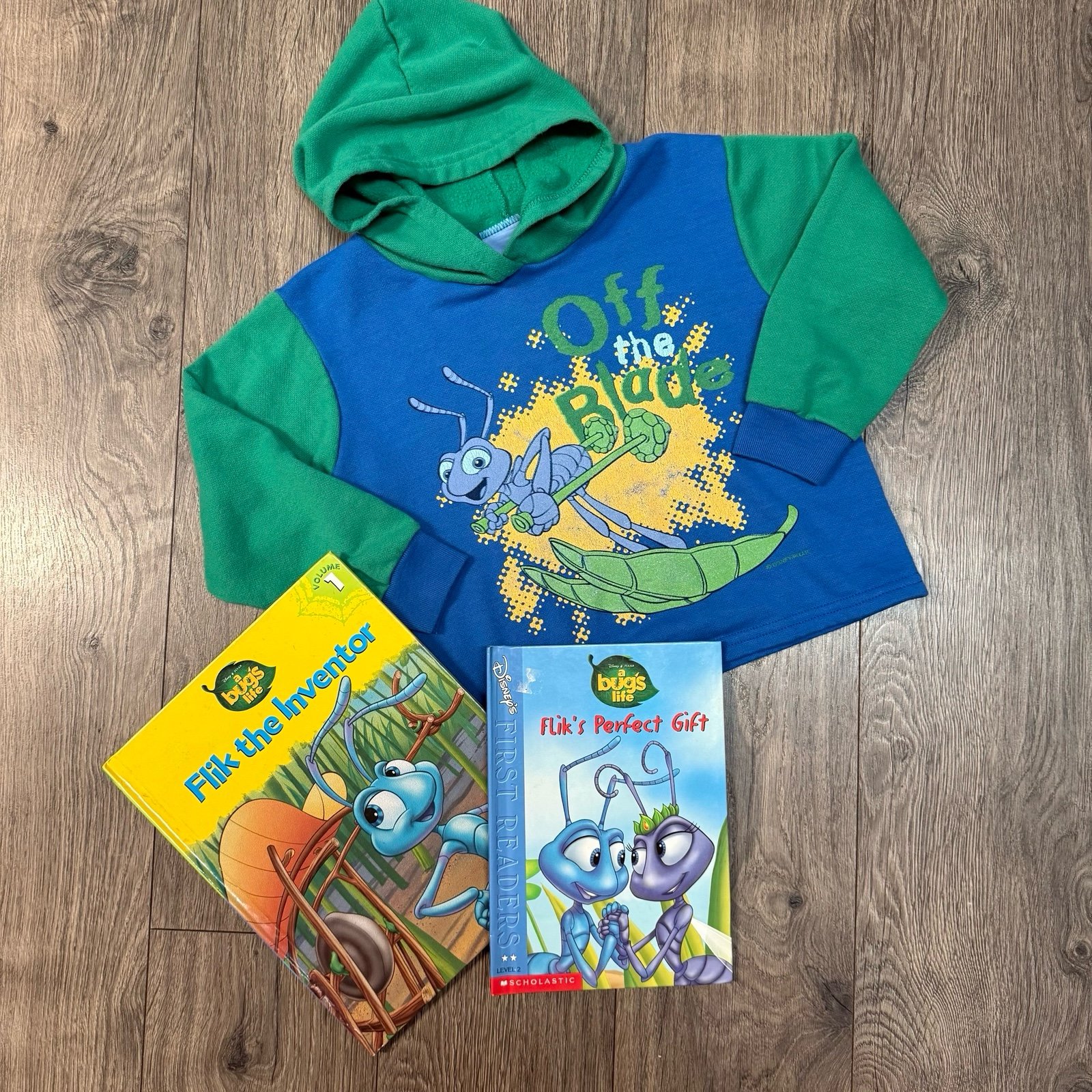 Vintage “A Bugs Life” Hoodie | 4T