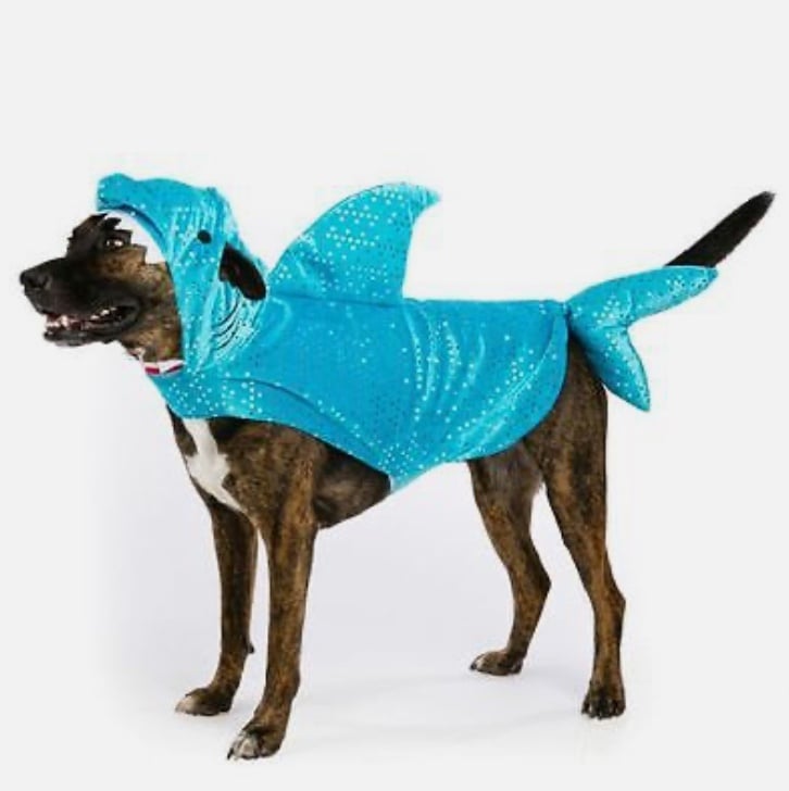 XL Dog Halloween Costume Shark Sparkle UNIQUE Pet Sequins