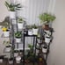 Pots for Plants 7.5 inch Plastic Planters with Multiple Drainage 8 Pcs
