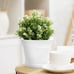 Pots for Plants 7.5 inch Plastic Planters with Multiple Drainage 8 Pcs