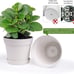 Pots for Plants 7.5 inch Plastic Planters with Multiple Drainage 8 Pcs