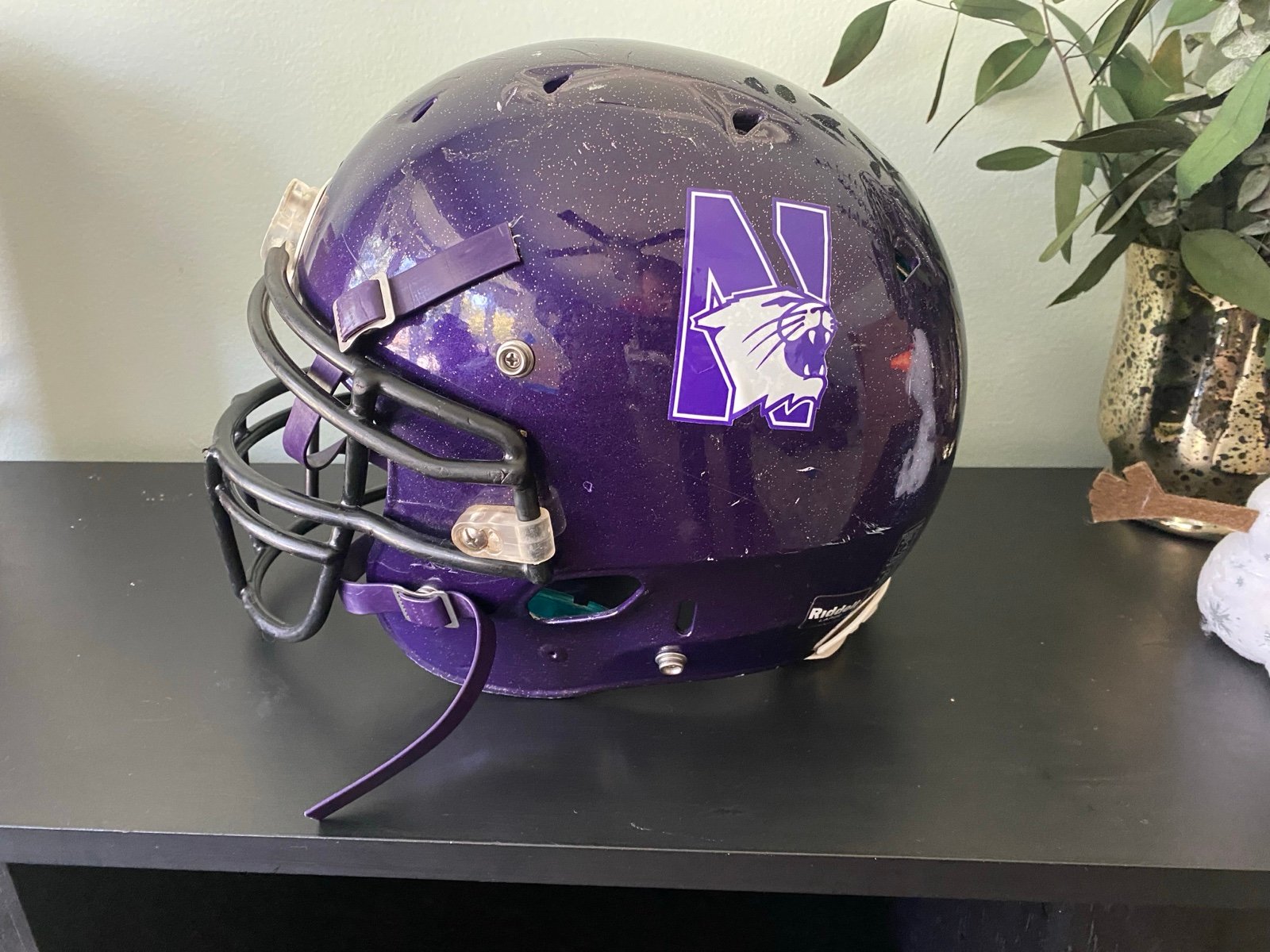 Northwestern University Football Helmet Riddell Large NCAA Big Ten Championship