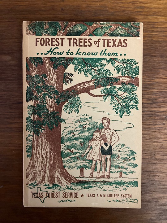 Forest Trees of Texas How to know them Service College vintage 1953 Bulletin 20