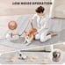 Pet Grooming Kit,3L Dog Hair Vacuum Suction 99% Pet Hair,7 Pet Grooming Tools,4