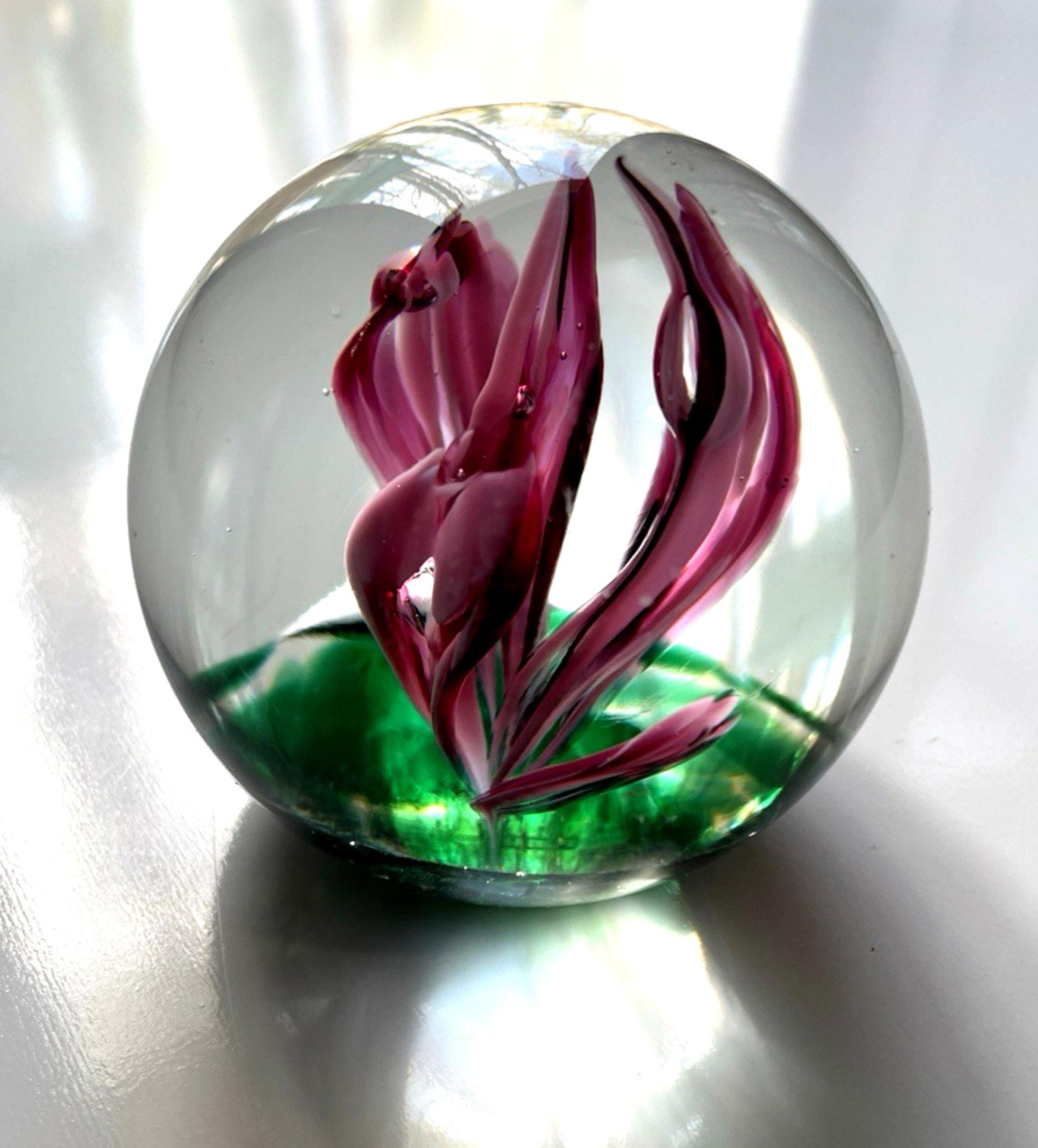 Vintage Elwood Indiana American Studio Art Glass Paperweight Crimp Pink Tulip