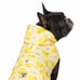 Canada Pooch Rubber Duck Rain Jacket - 26 inch