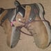 Steel toe timberland boots