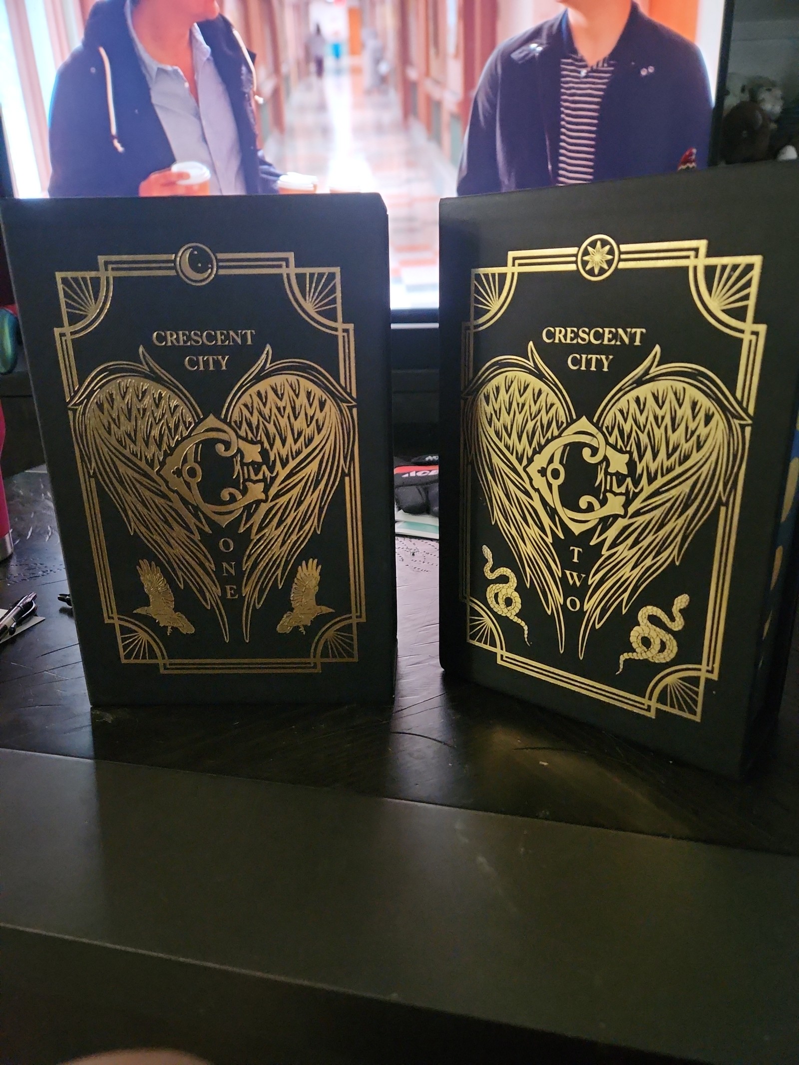 Fairyloot SE Crescent City Duology by Sarah J. Maas