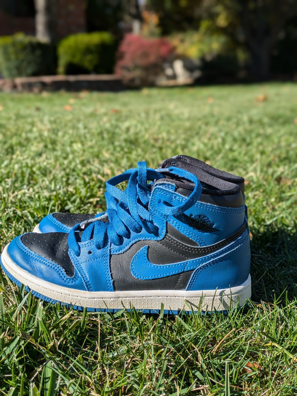 Nike air Jordan blue and black hightops