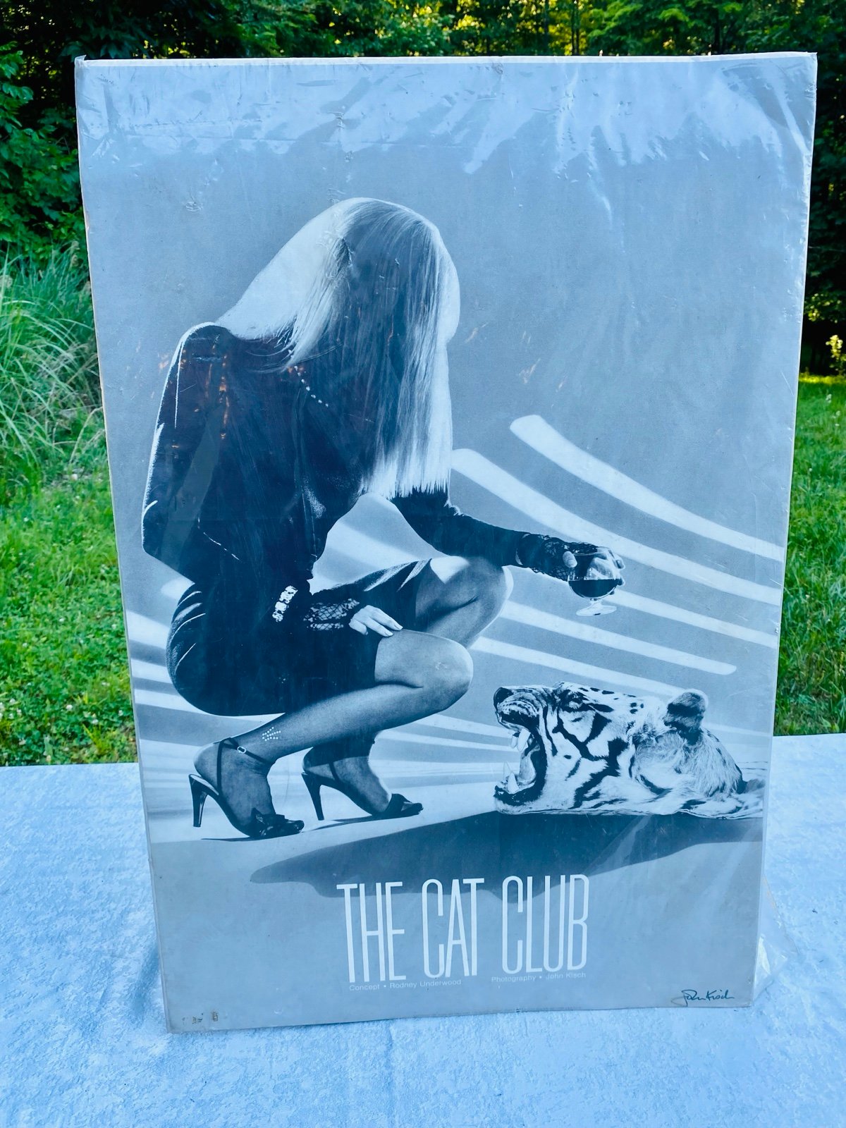 NEW 36”x24” Vintage 1985 CAT CLUB Nightclub sexy Rock N Roll Nightclub Poster