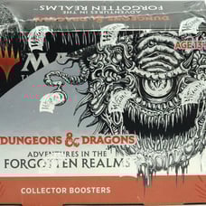 MTG Dungeons & Dragons Adventures in the Forgotten Realms Collector Booster