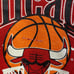 Vintage 90s Chicago Bulls Sweater size XS