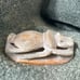 Egyptian Scarab in Soapstone Vintage