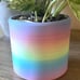 5” Show me the roots self watering planter. choose your color