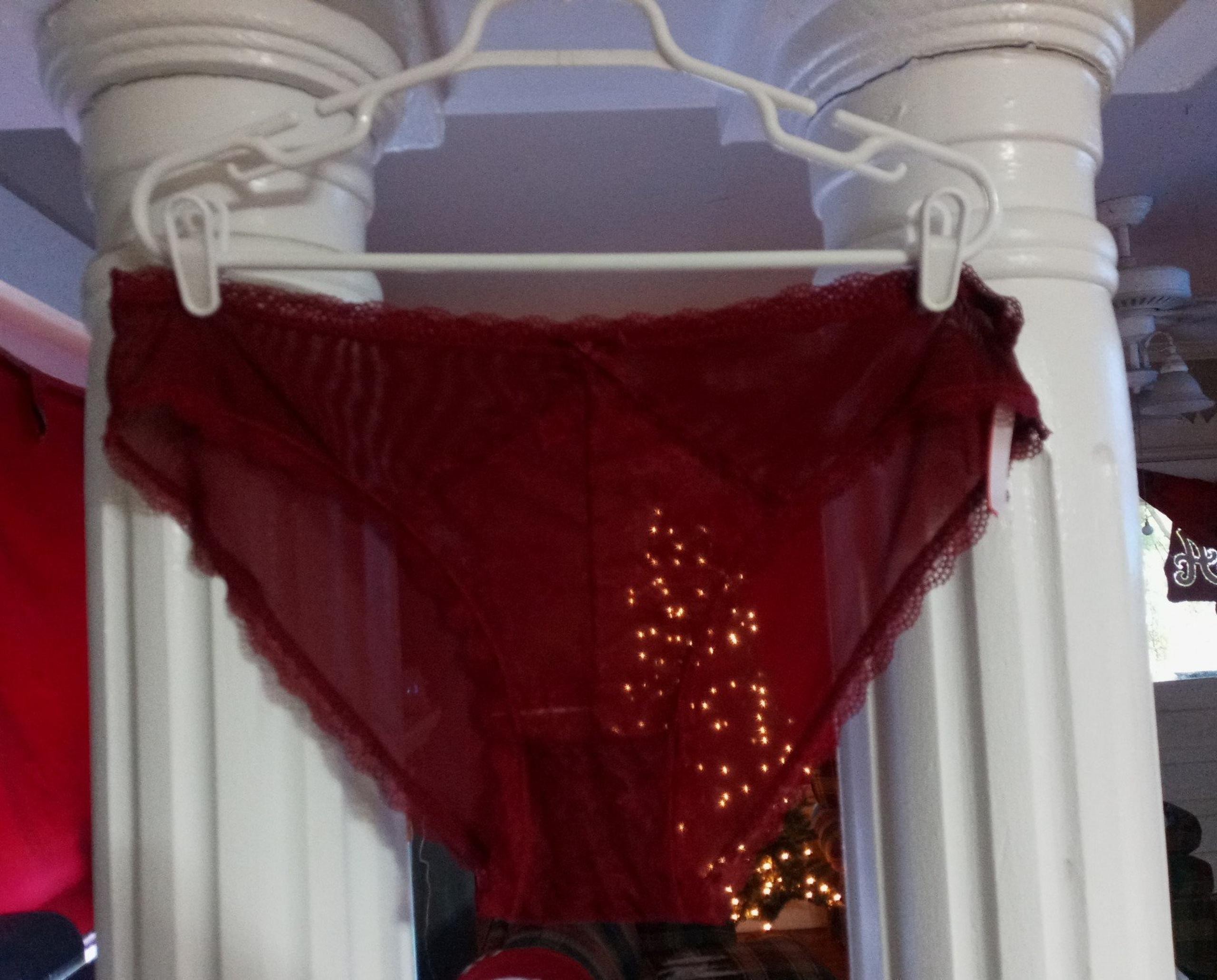 NEW Women's 4X Splendies Sheer Hipster Plus Size Panties