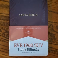 RVR 1960/KJV Bilingual Bible Burgundy