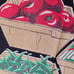 Vintage Martex® Dry-me-Dry Vegetable Market Hand Towels (2)