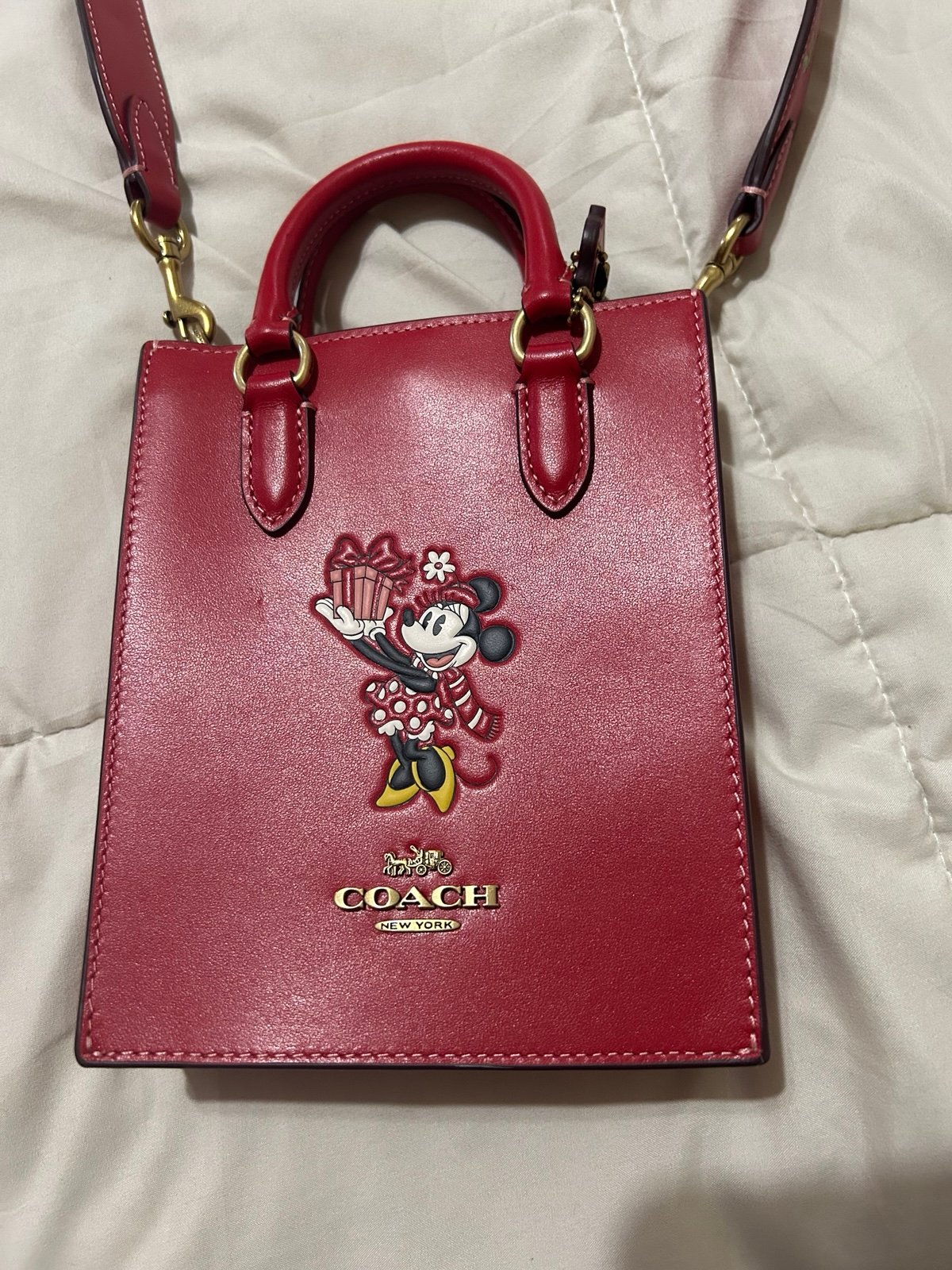 Coach X Disney