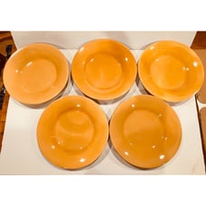 POTTERY BARN Sausalito Amber 12 Dinner Plates- Set of 5