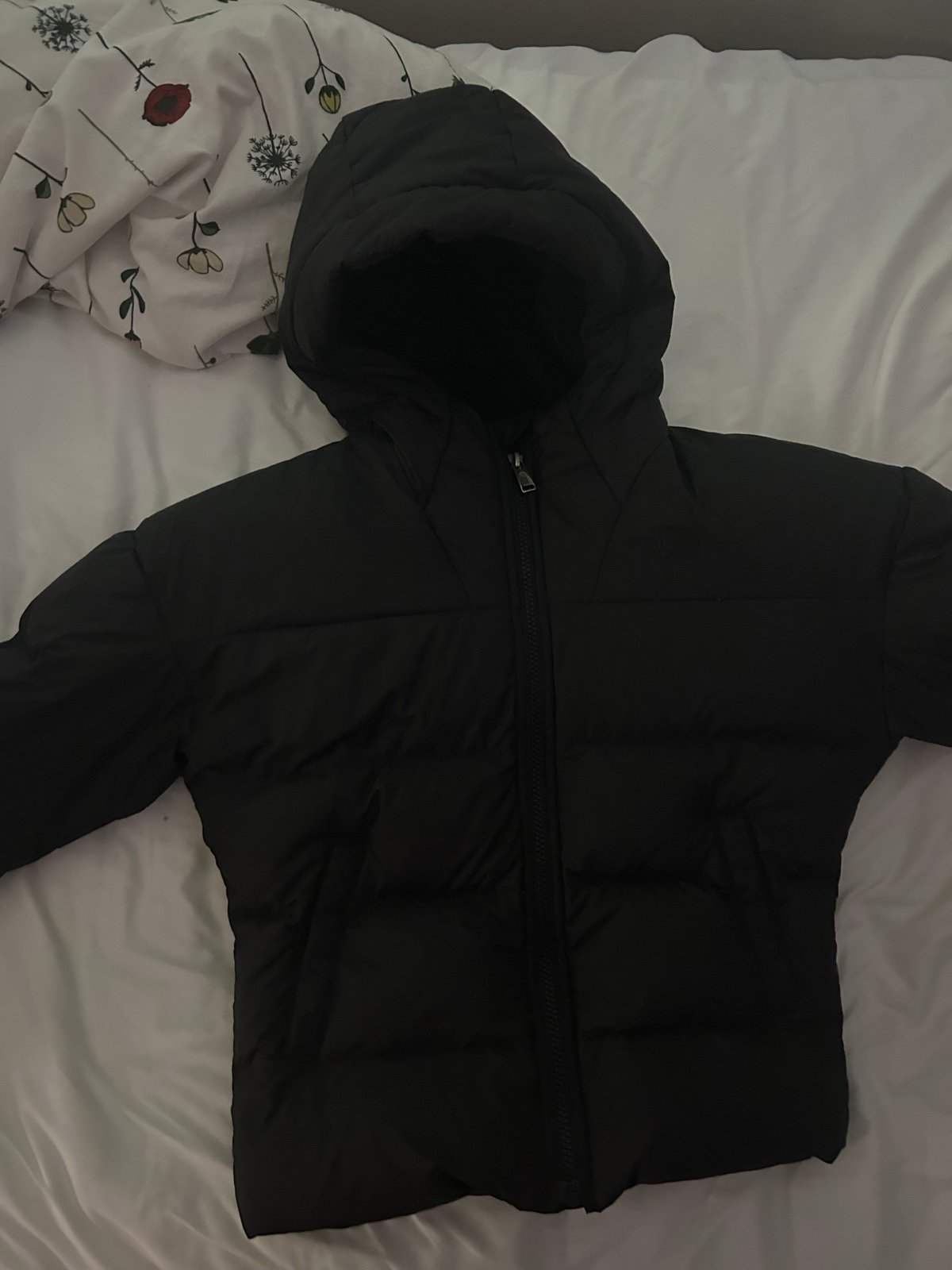 The north face jacket