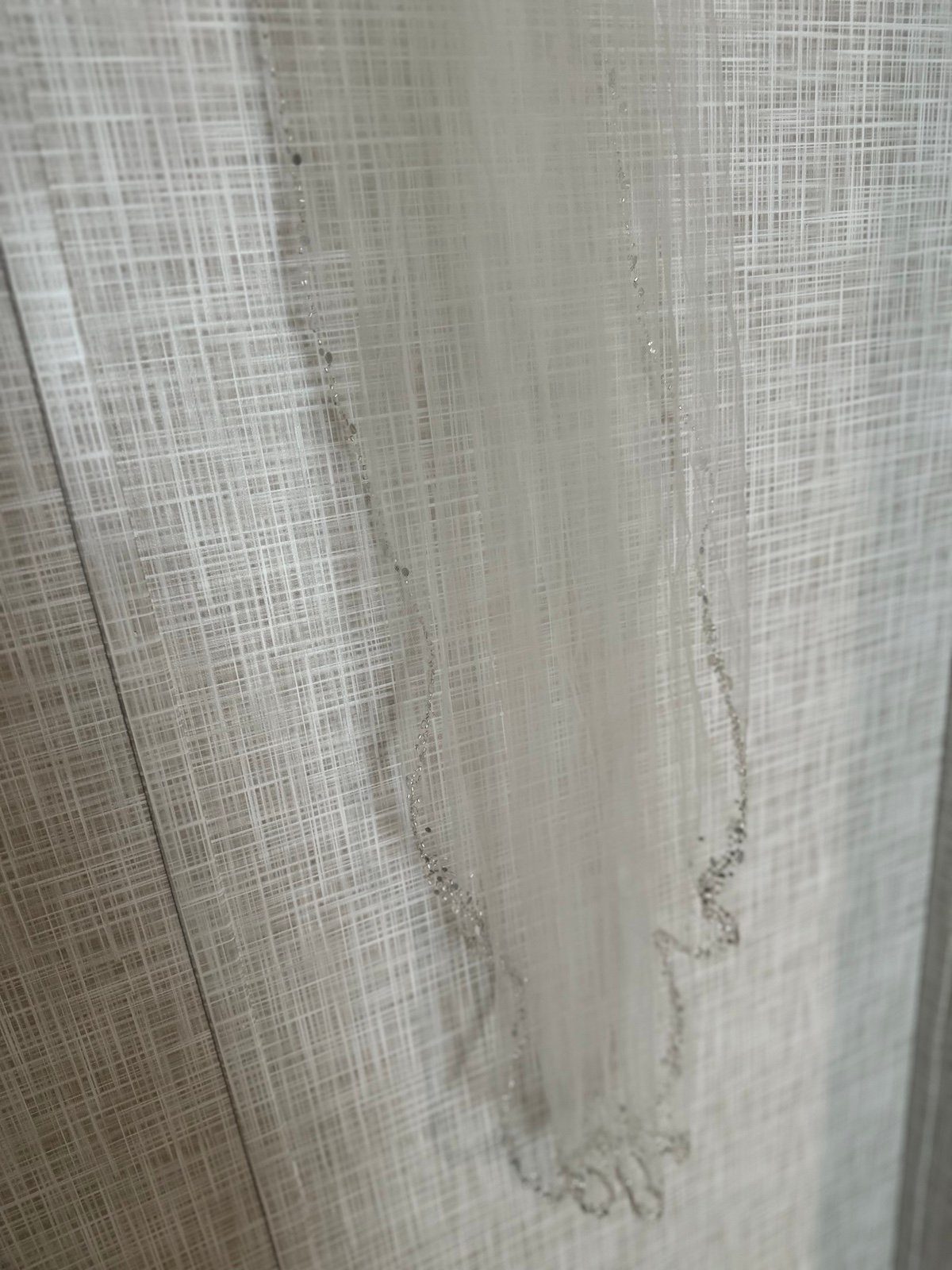David’s Bridal Veil