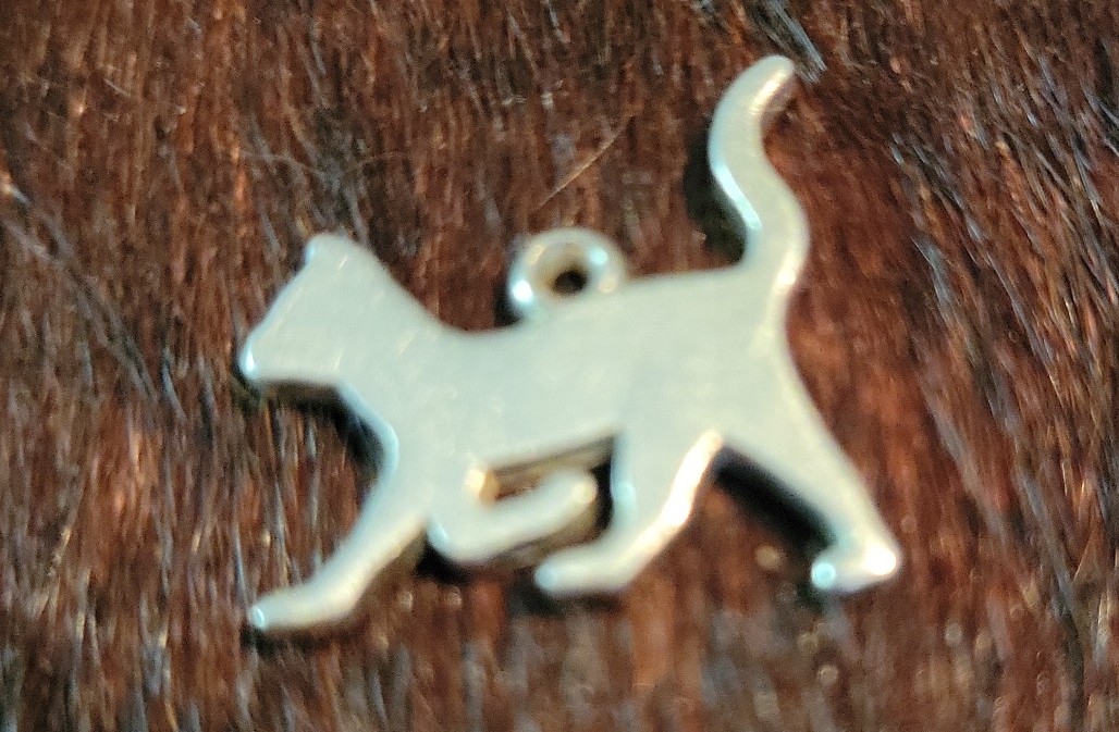 Charm #14