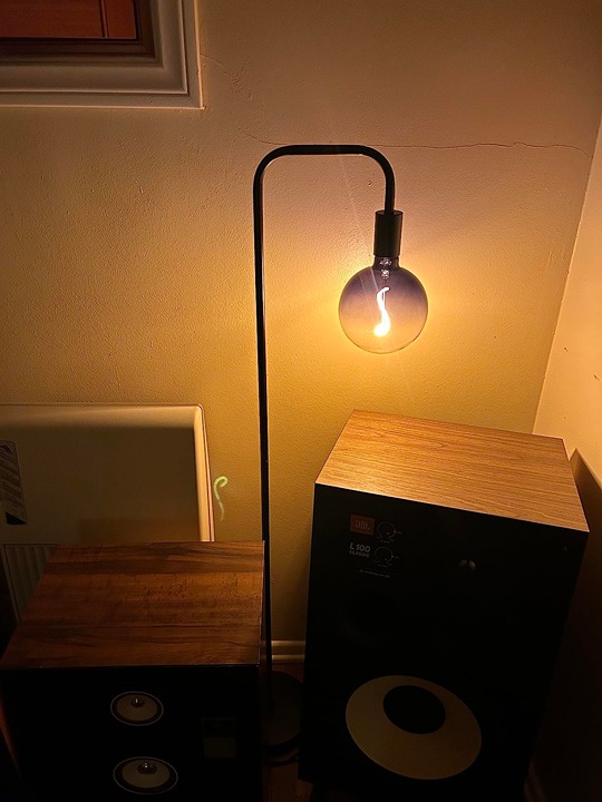 Minimalist Industrial Standing Lamp with Modern LED Bulb, Globe Black Glass 6
