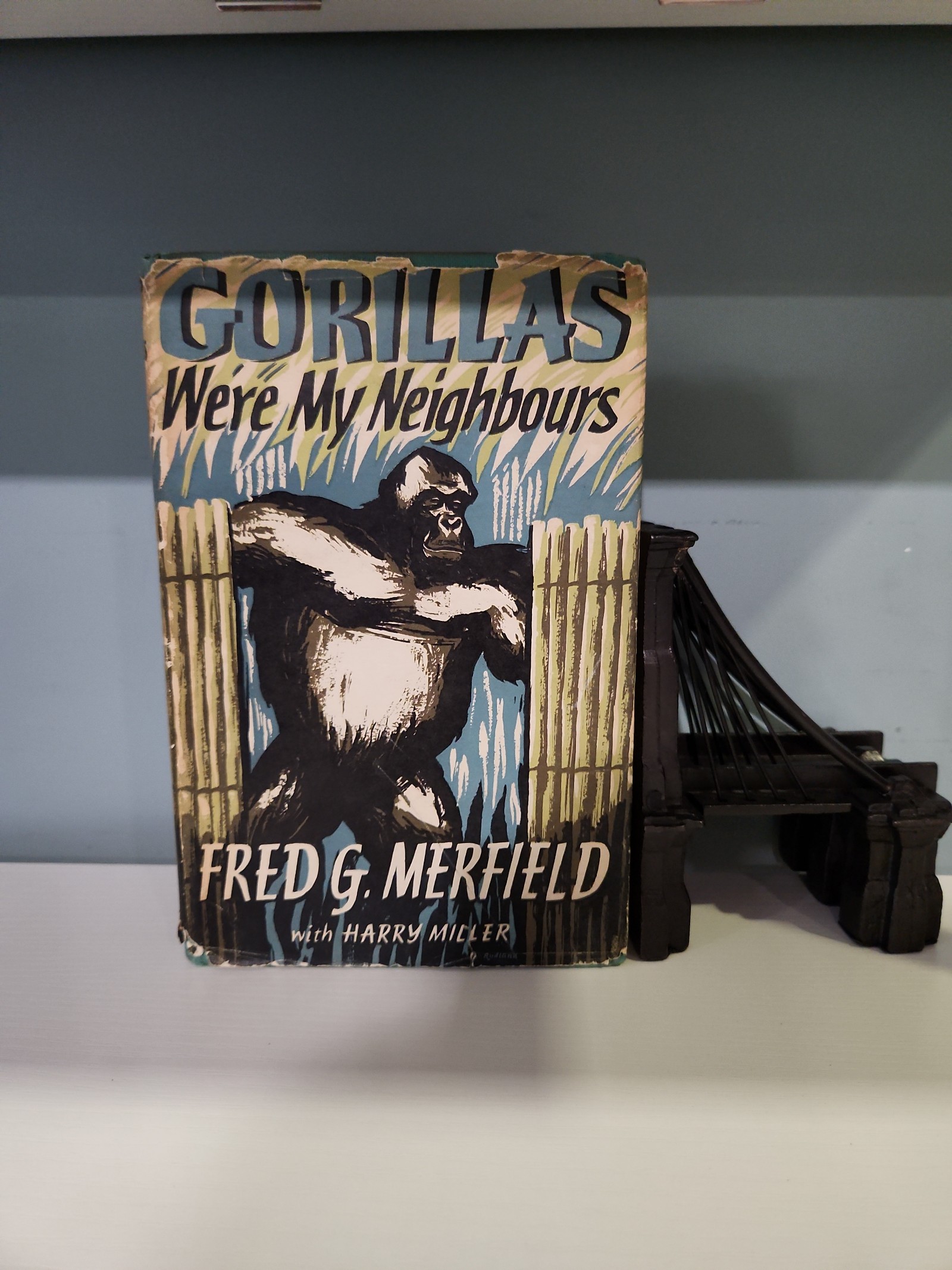 First Edition 1956 Gorillas Were My Neighbors By Fred Merfield Vintage Book D4