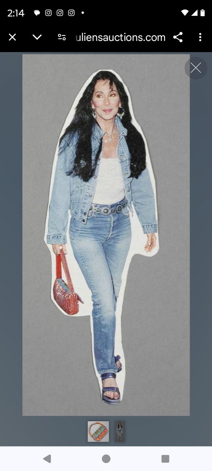 The Cher Christina Handbag