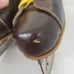 Vintage Two Tone Clipper Ice Hockey Skates Made in Canada - Size 8
