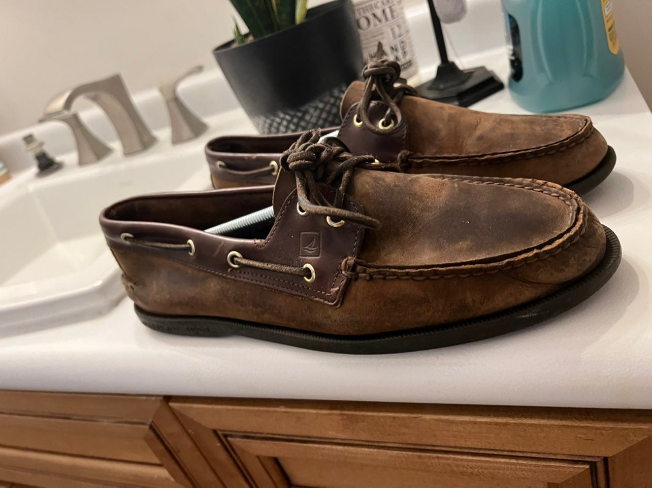 Sperry shoes