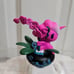 Tokidoki Unicorno Botanical set of 3