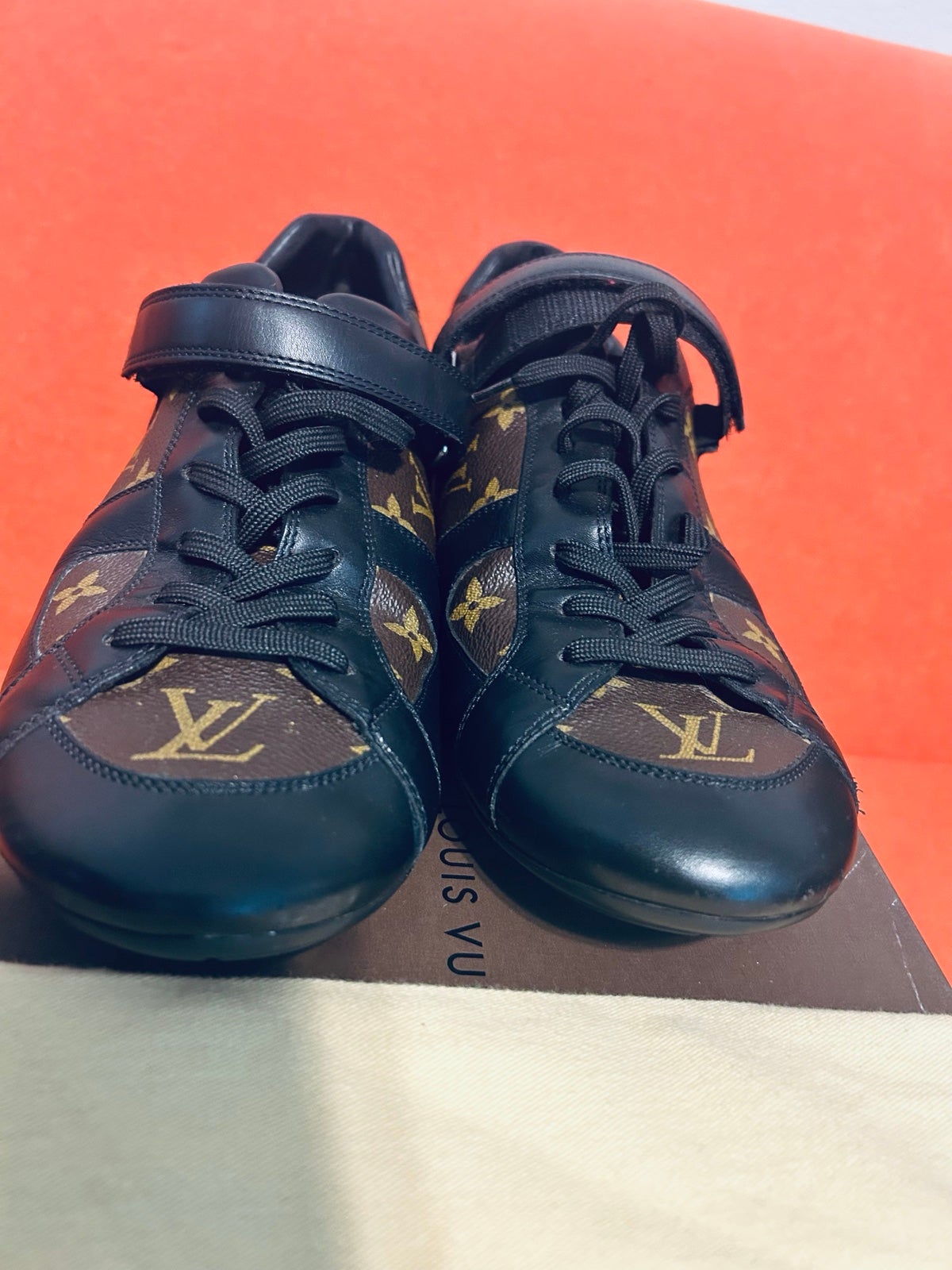 Louis Vuitton SOLD