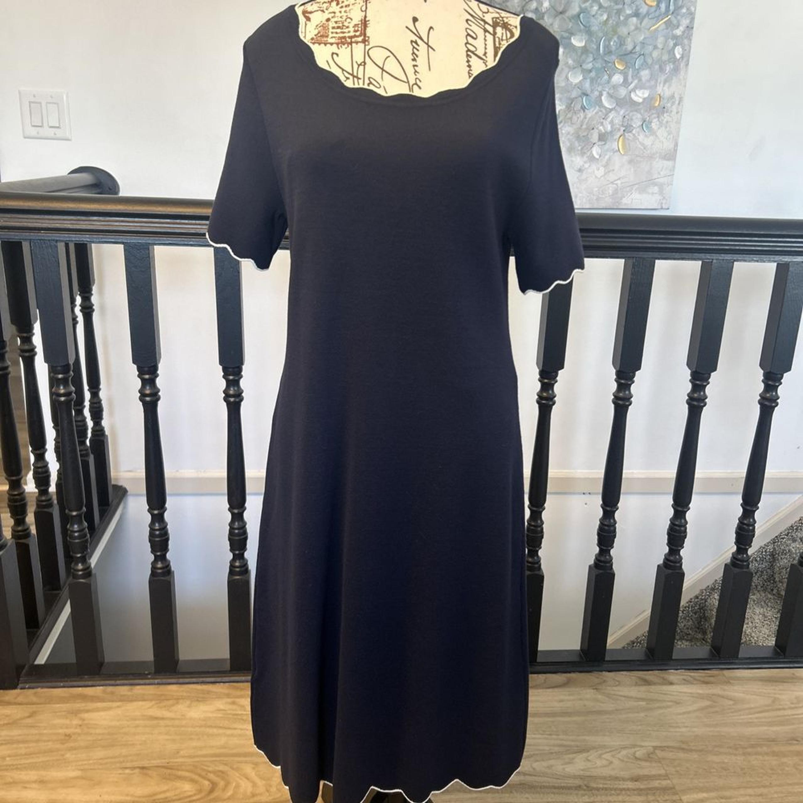 NWOT  $129 Ann Taylor The Sheath Dress in Double Knit Blue White Trim Med