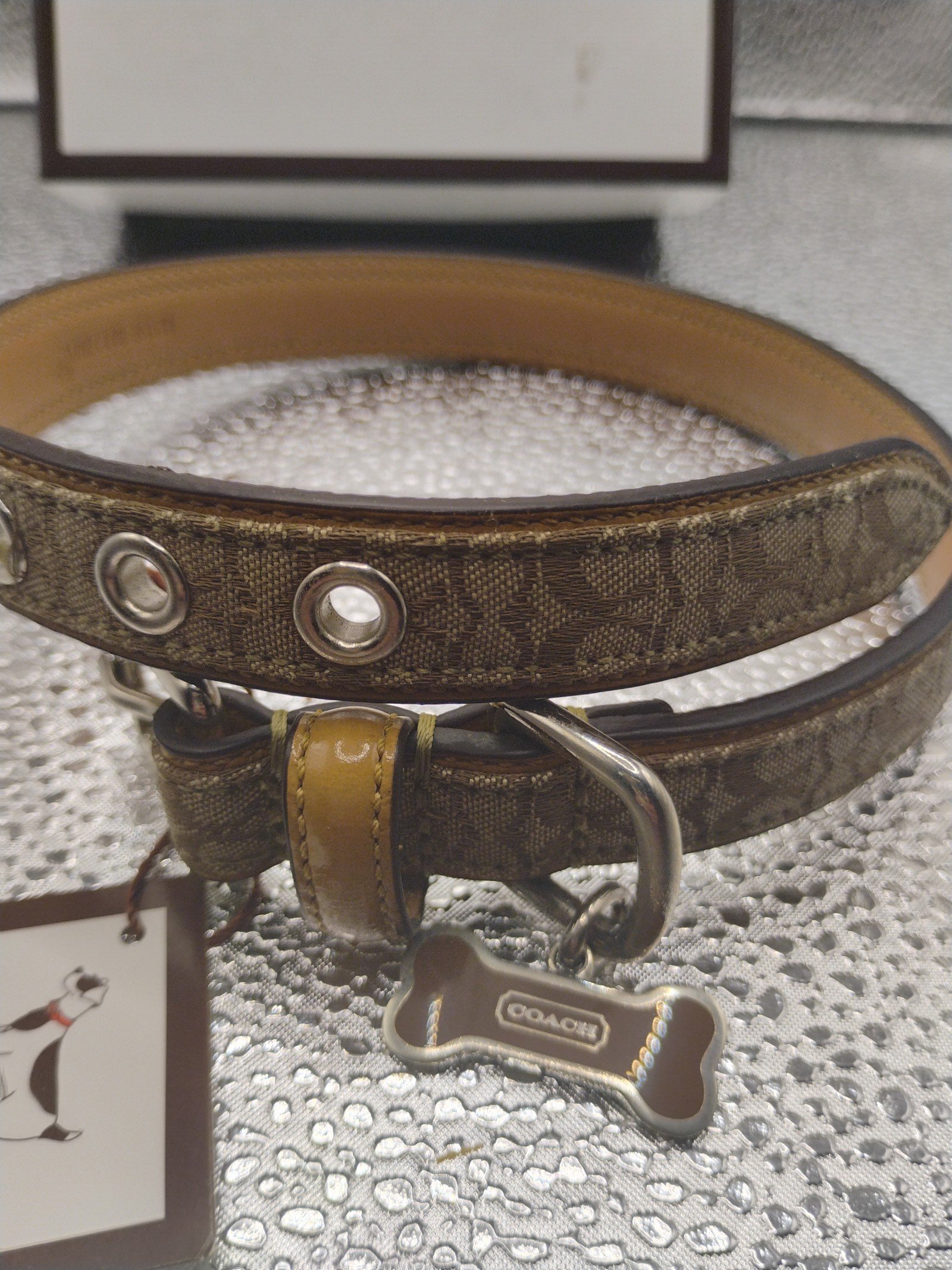 Vintage coach dog collar