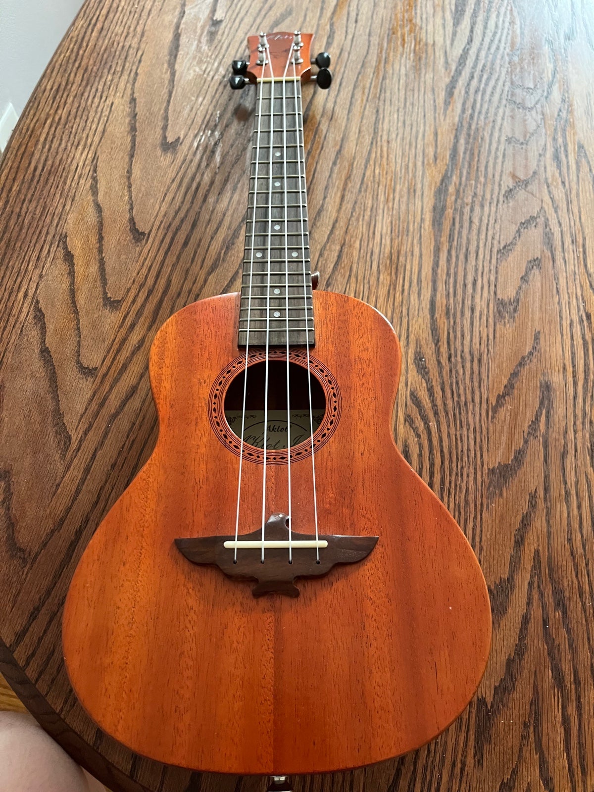 Tenor Aklot Ukulele, CASE INCLUDED