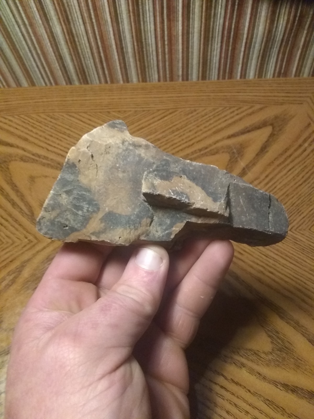 Paleo American Stone Rock Artifact