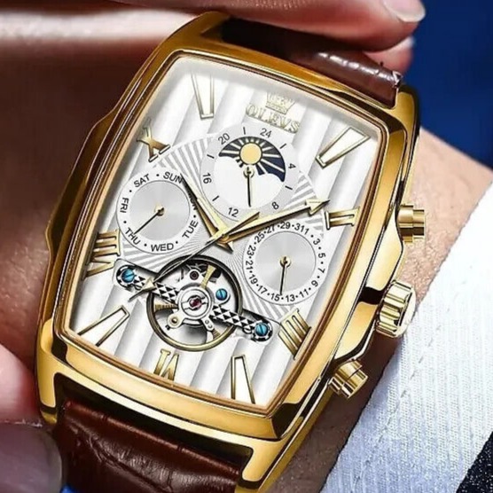 New Automatic Mechanical Waterprf OLEVS Luxury 6675g Men Leather NWT low priced!