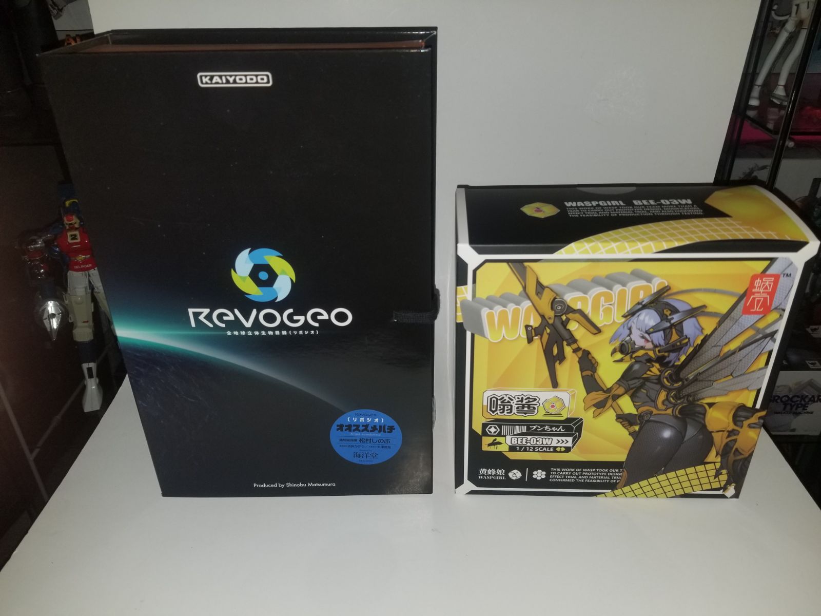 Kotobukiya and Max Factory boxed figure set
