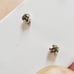 Diamond studs 1/4carat total weight.