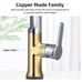 Brass Kitchen Faucet with Pull Down